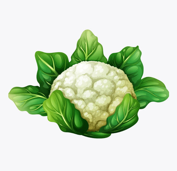 Cauliflower